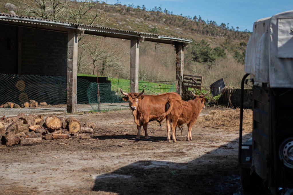 Núcleo tradicional protegido en Costa da Morte – normativa urbanística de rehabilitación